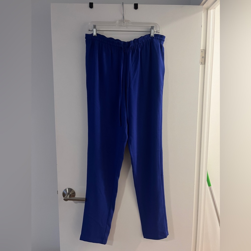 Aritzia Babaton Genie Pants